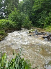 Fluss im Berg
