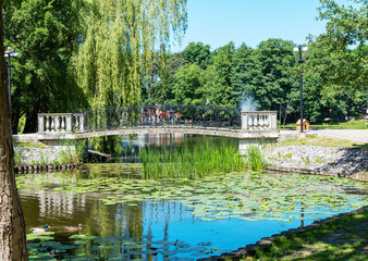 Fototapeta na wymiar Tortilin pond in Zvenigorod on a sunny summer day.
