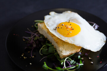 Fried egg on toast on pillow of microgreen. Breakfast
