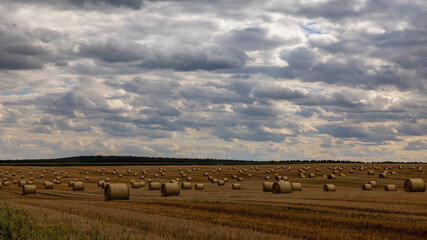 Strohballen auf einem Feld, im Hintergrund bewölkter Himmel