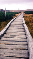 Fototapeta na wymiar Long Wooden Path in the Mountains