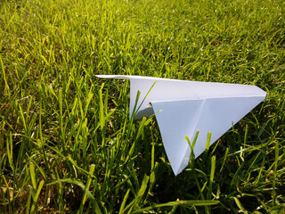 Paper Airplane on the Grass