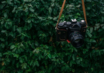 Male hand holding a vintage film camera in the air. Green nature in the background.