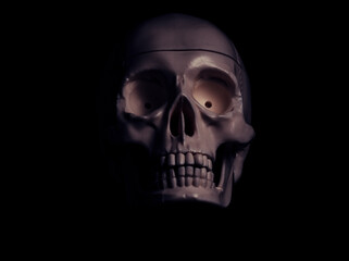 Single human skull in the darkness.