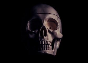 Single human skull in the darkness.