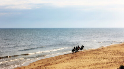 Widok na piaszczystą plażę nad morzem z końmi. 