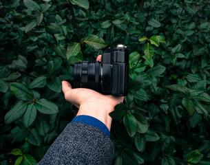 Male hand holding a vintage film camera in the air. Green nature in the background.