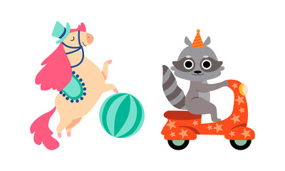 Circus Horse and Raccoon Animal Performing Trick Riding Scooter and Standing on Hind Legs Vector Set