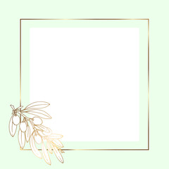 Gold frame square. Luxury square banner with olive branch and olives. Pastel light green background. Vector illustration.