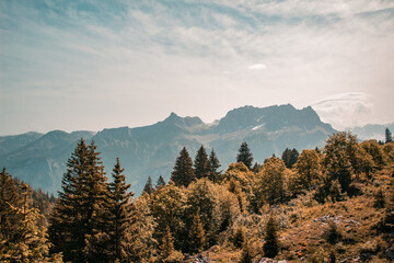 Naklejka premium Paysage plongeant de montagnes françaises