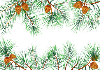 Naklejka na ściany i meble Christmas background with pine branches. Vector illustration of pine branches with cones 