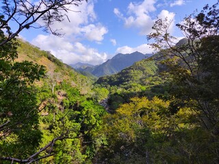 Obraz premium landscape with trees