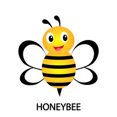 Honeybee vector with the inscription Honeybee. Cute vector illustration