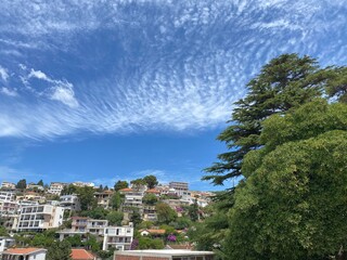 Obraz premium Montenegro old town Ulcinj cityscape. Spectacular view medieval city at summer sunny day. Scenic buildings surrounded lush pine trees. Peaceful Mediterranean landscape.