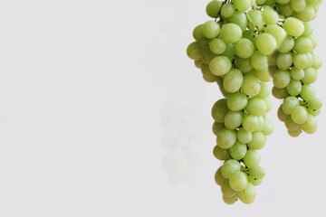 a bunch of green grapes on a white background