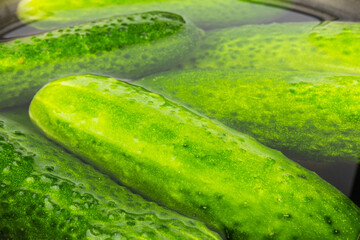 Background fresh cucumbers in water close up