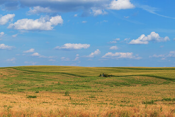 Fototapeta na wymiar Beautiful wavy landscape of Moravian Tuscany in the Czech Republic. Blue sky and clouds.
