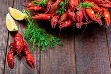 Red crayfishes on a plate served with dill and lemon