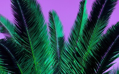 PALM LEAVES