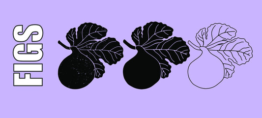 Figs with leaves on a colored background. Vector	
