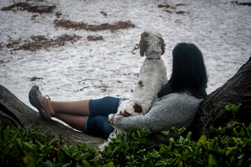 WOMAN WITH DOG ON HER LAP SIT ON TREE TRUNK AT BEACH CARMEL BY THE SEA