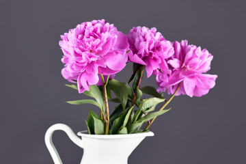 Chinese pink peony flower in bouquet in front of gray background