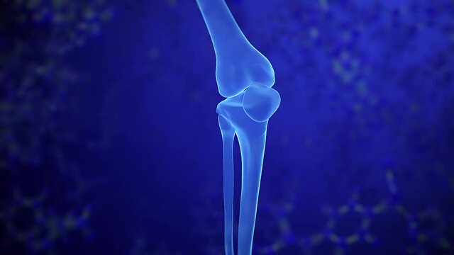KNEE skeleton x-ray scan in blue. Joint anatomy in x ray. Science, technology, health care or medical background. Part of Human Skeleton. Concept of human anatomy, body skeleton, scan. 3d animation