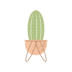 cactus in a pot