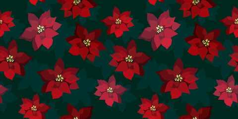 Poinsettia flowers christmas  seamless pattern. New year background