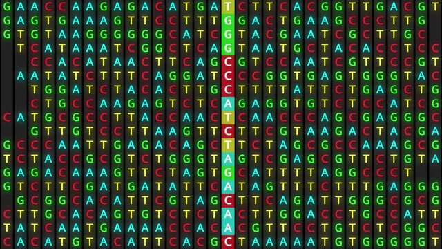 Loopable: DNA genetic matching and analysis abstract background with color-coded DNA components C, G, A, T. Genomic data processing concept.