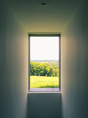 Window View with Meadow and Sun