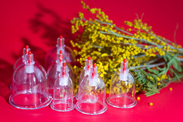 Jars for hijama on a red background. Bloodletting, Traditional Chinese Medicine, Sunnah Healing. Sprigs of mimosa.