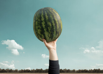 Hand hält reife Wassermelone in die Luft