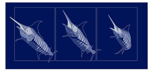 marlin also