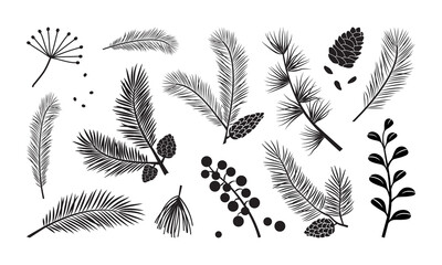 Christmas tree vector branches, fir and pine cones, evergreen set, holiday decoration, black winter plant, leaf and twig isolated on white background. Nature illustration