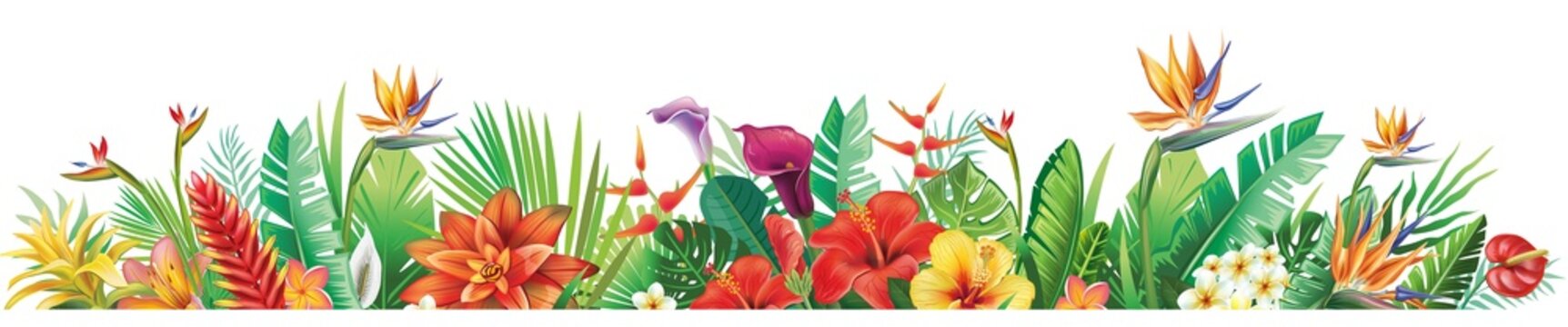 Border with tropical plants and flowers Floral vector illustration