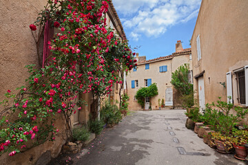 Fototapeta na wymiar Lourmarin, Vaucluse, Provence, France: picturesque old alley in the ancient village with plants and red roses