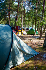camping and tent in forest in the morning