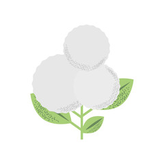 flower with cotton balls