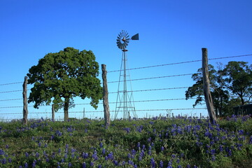 Waller Texas Windmill