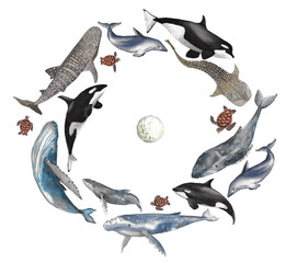 Whales and turtles circular moon composition