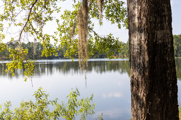 Harmony Lake near Townsend GA