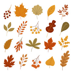 Colorful autumn set of leaves and berries. Vector illustration clipart
