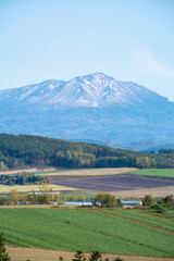 Fototapeta premium 秋の畑作地帯と山並み 大雪山 
