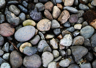 Various stones of gray, white, green, orange, tan, purple, and black that are lightly wet with differing textures