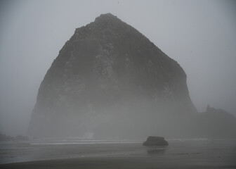Large rock covered in plant life on beach with smaller rock in front of it in the water on a foggy...