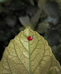 Pequeños detalles