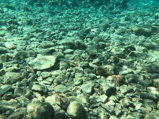 Underwater recordings in Aqaba Jordan Coral with colored fish