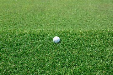 골프, 퍼팅 그린, 엣지, 골프공