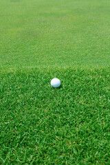 골프, 퍼팅 그린, 엣지, 골프공